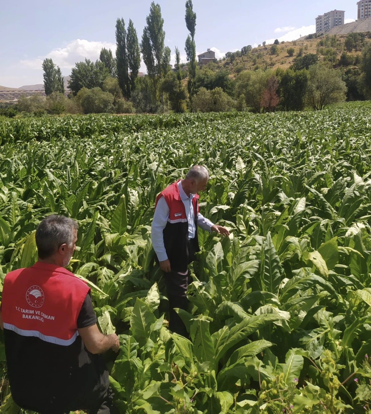Milletvekili Kurt&rsquo;tan &Ccedil;elikhan&rsquo;da Dolu Yağışından Etkilenen &Uuml;reticilere Ge&ccedil;miş Olsun Mesajı 