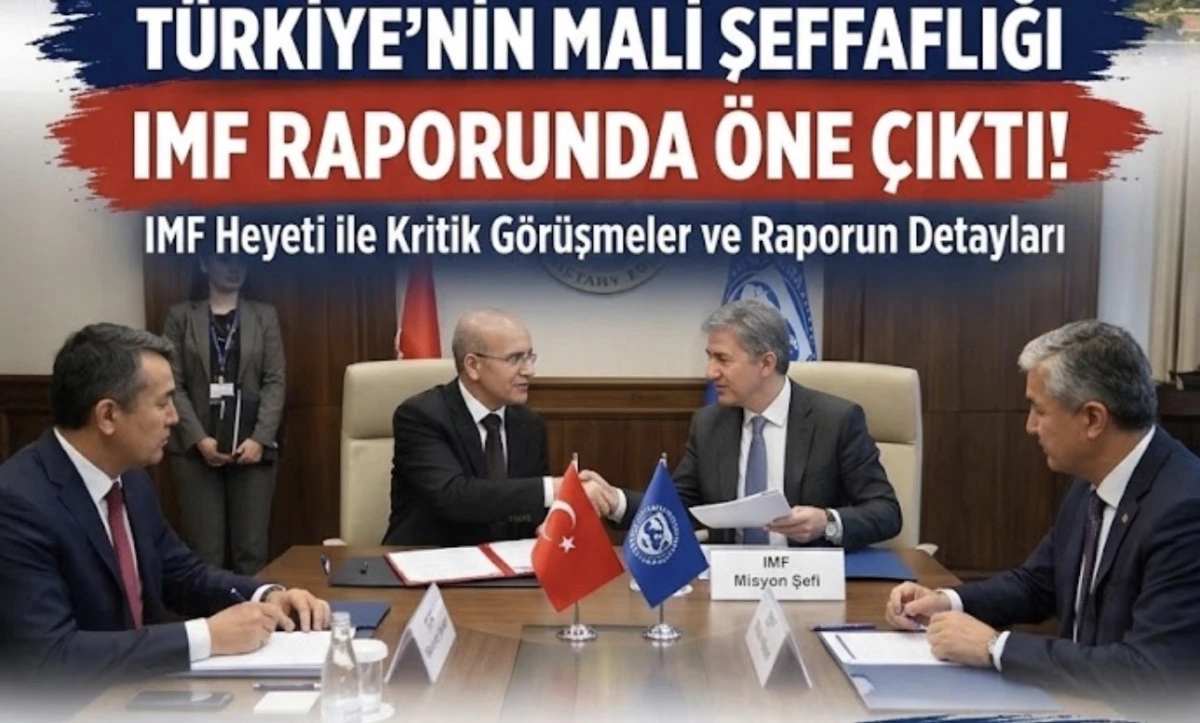 T&Uuml;RKİYE&rsquo;NİN MALİ ŞEFFAFLIĞI IMF RAPORUNDA &Ouml;NE &Ccedil;IKTI!  